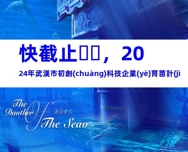 快截止，2024年武漢市初創(chuàng)科技企業(yè)育苗計(jì)劃申報(bào)條件、相關(guān)內(nèi)容